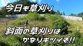 【草刈り】今日も草刈り！斜面の草刈りはキツい！