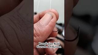 Rangkaian Kail Mancing Gurame Di Kolam