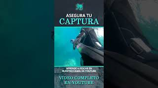 🐟 COMO CAPTURAR y ASEGURAR un GRAN PEZ a POCA PROFUNDIDAD en PESCA SUBMARINA