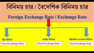 Exchange Rate in Economics । বিনিময় হার কি। বিনিময় হার কিভাবে নির্ধারিত হয়। বৈদেশিক বিনিময় হার