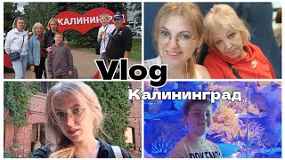 Калининград - часть 2 🏰 16 и 17 недели беременности🤰🏻 Первые покупки малышу👶🏻 проблемы в жк😤туристы🧳