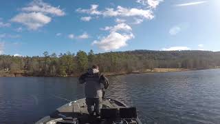 Accidental rainbow catch while bass fishing