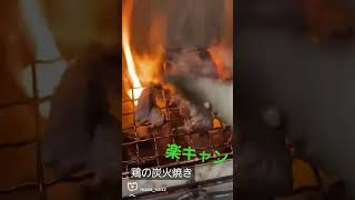 焼き鳥　鶏の炭火焼き