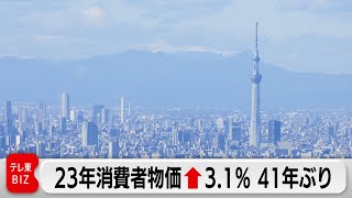 23年の消費者物価3.1％上昇　41年ぶりの水準　家計へ重い負担（2024年1月19日）