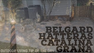 Belgard Hatteras Catalina Grana Paver Patio - Outdoor Living Tip of the Day