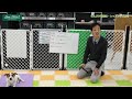 わんjoy瑞穂店 レッスンのご案内