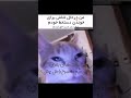 حق یا چی؟😂کلی میم مسموم داخل چنل وارد شو از خنده میترکی خنده میم meme memes خنده_دار