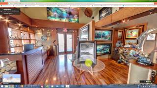 Wyland Art Gallery Business View Virtual Tour