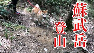 【柴犬】登山 蘇武岳 ①