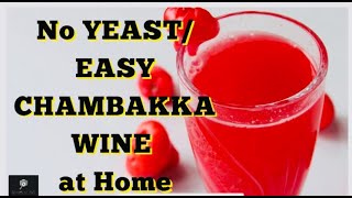 No YEAST, EASY CHAMBAKKA WINE at Home || 21 days ||