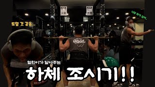 2. 헬스 2달차 헬린이의 운동 브이로그 l 하체 운동 l  Back squat l V squat machine l leg curl  l leg press