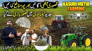 Kasuri Methi Farming in Pakistan | How to Make Dry Fenugreek leaves | Kissan Ka Pakistan