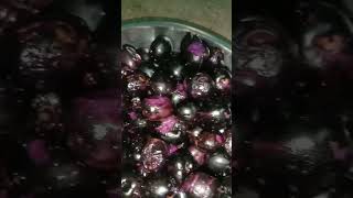 நாவப்பழக்காடு நாவல் பழம் வேட்டை | Jamun Fruit Live Harvest