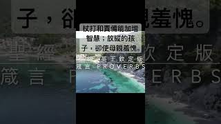 聖經 箴言，杖打和責備能加增智慧；放縱的孩子，卻使母親羞愧。 #聖經  #shorts #short #短視頻 #箴言  #聖經朗讀 #聖經金句