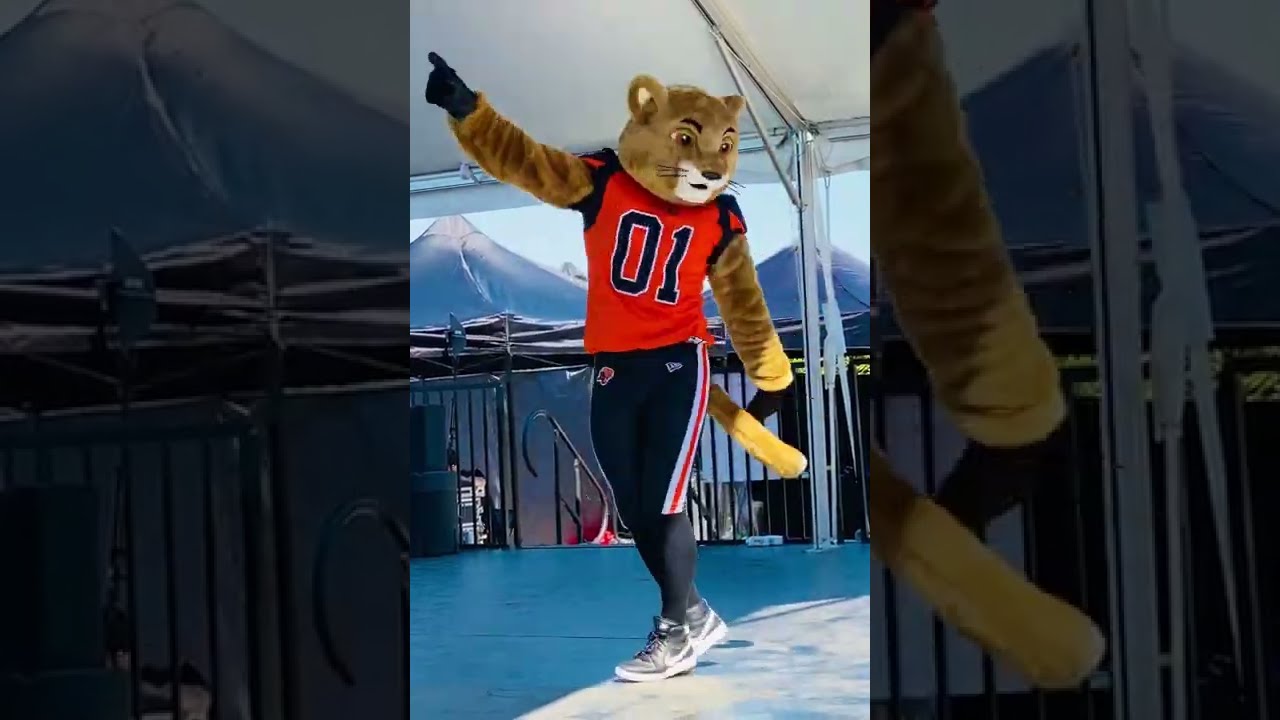 Fantastic BC Lions Mascot - YouTube