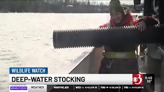 Wildlife Watch: Fish stocking season underway