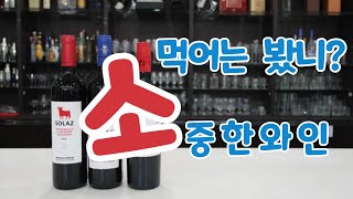 [신와이]신박한와인이야기 먹어는 봤니? 소중한 와인