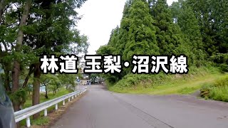 【道】林道 玉梨・沼沢線