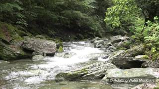 【癒し】自然音　せせらぎ　高知県　仁淀川　深緑の森と鳥のさえずり