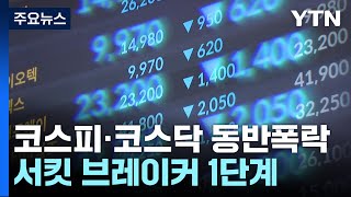 235조 날아간 최악의 하루...'서킷브레이커'까지 / YTN