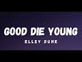 @elleyduhe - GOOD DIE YOUNG (Lyrics)