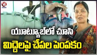 Women Farming Fish On Terrace | Kamareddy | V6 News