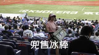 2012日本京阪神賞櫻春之旅