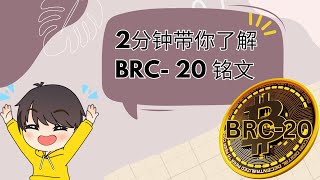 新手都能听懂什么是BRC-20铭文