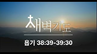 [포항큰숲교회] 2023.12.17. 새벽기도