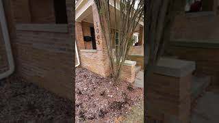 1003 W Huron, Exterior, Ann Arbor, MI - Exterior Virtual Tour