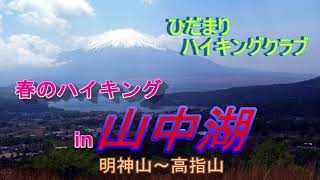 【ひだまりハイキングクラブ・春のハイキング】山中湖・明神山～高指山