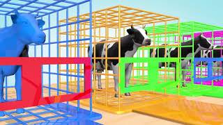 Learn Colors with Colorful COW Milk Xylophone Funny Animals Colors Videos for Kids   Raibow Animals
