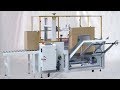 Clothings carton erecting opening sealing machine fully automatic exported to South Korea 出口韓國開箱封箱機