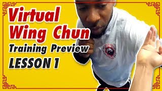 Virtual Wing Chun Training Preview - Lesson 1