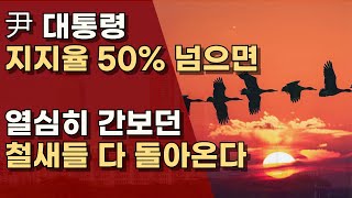 정치인들은 간도 잘 보고 냄새도 잘 맡아, 또 돌아온다. ㅣ서정욱TV