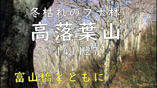 晩秋の大滝山ブナ林　富山橋とともに