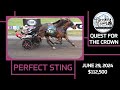 2024 Perfect Sting | Twin b Joe Fresh | Mare Pace