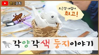 각양각색 둥지이야기 [랜선과학]