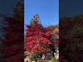 三輪神社　岐阜県揖斐郡揖斐川町三輪と岐阜県岐阜市三輪 三輪神社 岐阜県 揖斐郡 岐阜市 揖斐川町 三輪 参拝 神社