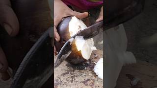 ଦେଖନ୍ତୁ ଆମ ଘରେ ଆଜି କ'ଣ ଖାଉଛନ୍ତି 🥝👍 # Short # Viral # Video