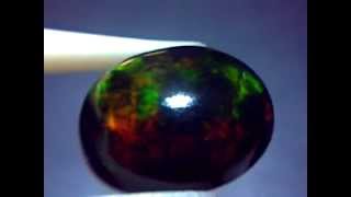 Black Opal