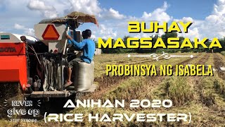 Buhay Magsasaka 2 | Probinsya ng ISABELA | ANIHAN 2020 (RICE HARVESTER) | DOKUMENTARYO