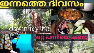 ഇന്നത്തെ എന്റെ കുഞ്ഞുകുഞ്ഞു വിശേഷങ്ങൾ ഇങ്ങനെയൊക്കെയാണ് ട്ടോ 😍❤️/എന്റെ ഒരു ദിവസം/day in my life