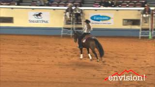 Ghirardelli Chic - 2012 AQHA World Show - Amateur Reining