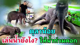 ตุลาน้อย เด็กแสบเล่นน้ำยังไง? ให้น้ำท่วมคอก!! เด็กดื้อต้องโดนอะไรดีนะ...