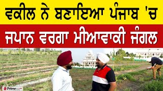 Prime Report (1017) || ਵਕੀਲ ਨੇ ਬਣਾਇਆ ਪੰਜਾਬ 'ਚ ਜਪਾਨ ਵਰਗਾ ਮੀਆਵਾਕੀ ਜੰਗਲ