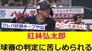 紅林弘太郎、球審の判定に苦しめられる【紅林の成長に目を細くする会】