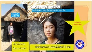 โรงเห็ดน็อคดาวน์ 1000ก้อน บนพื้นที่9ตรม.แบบโคราชฟาร์มเห็ด โรงเรือนเพาะเห็ด โรงเห็ดนางฟ้า โรงเพาะเห็ด