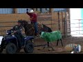 attitude of your practice allen bach team roping tips