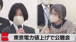 東京電力値上げで公聴会（2023年4月13日）